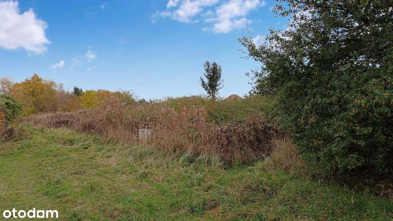 Budowlana, 515 m2, prąd, woda, gaz, kanalizacja - Pełny obrazek: 2/5