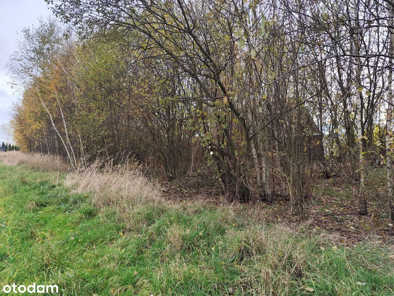 Działka budowlana 2458 m2 pod zabudowę wolnostojącą Bytom Stolarzowice - Pełny obrazek: 4/4