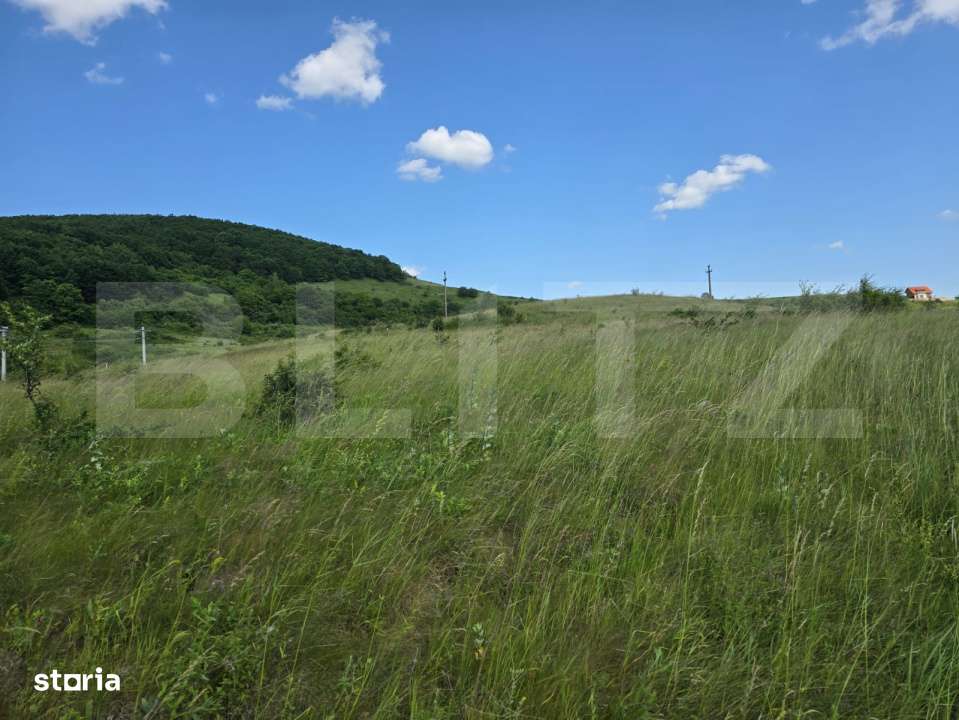 Teren potrivit pentru investitie in zona complexului Domeniul Regilor. - Imagine principală: 3/5