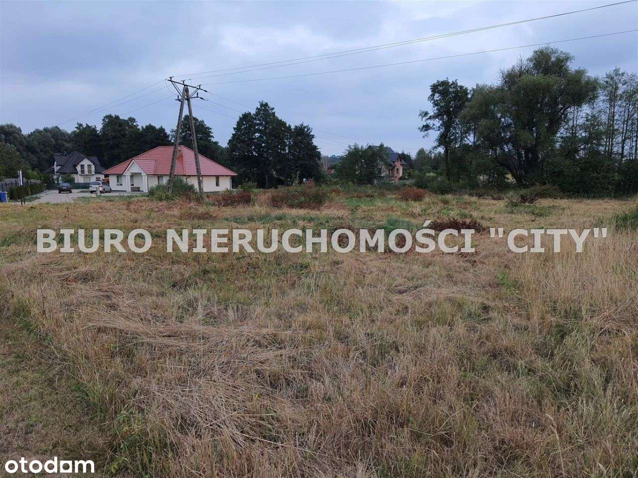 Działka, 3 004 m², Żary - Pełny obrazek: 4/13