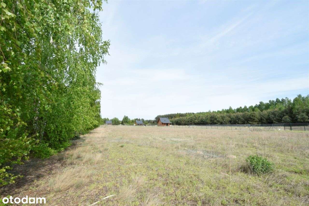 Urokliwe działki 1 km od plaży nad rzeką Wkrą - Pełny obrazek: 5/15