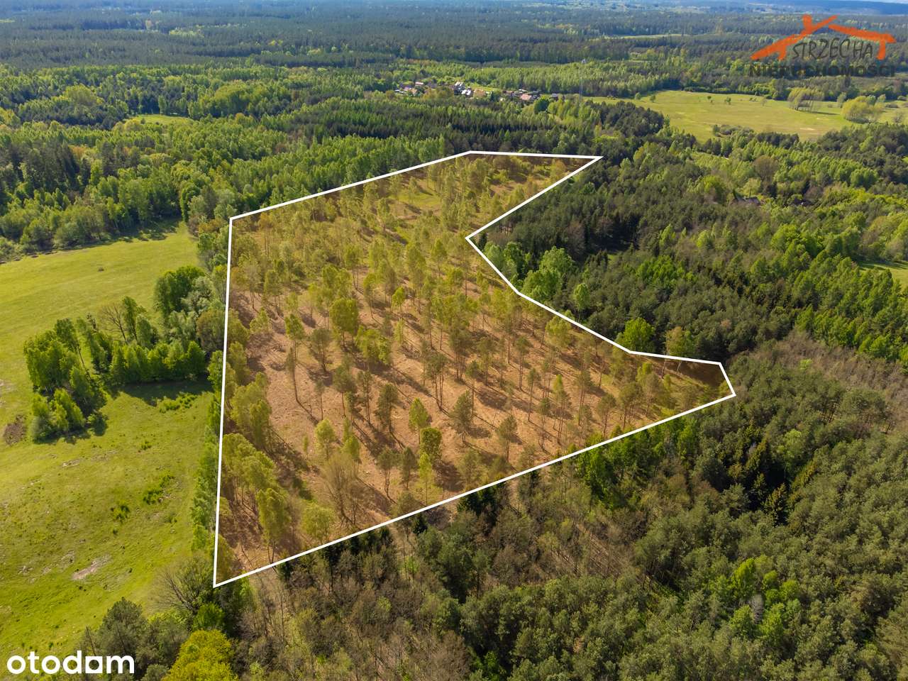 Działka inwestycyjna-2