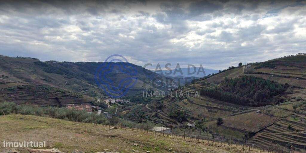 Terreno no DOURO com vistas deslumbrantes, com capacidade construtiva. - Grande imagem: 2/19