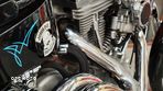 Harley-Davidson Softail - 14