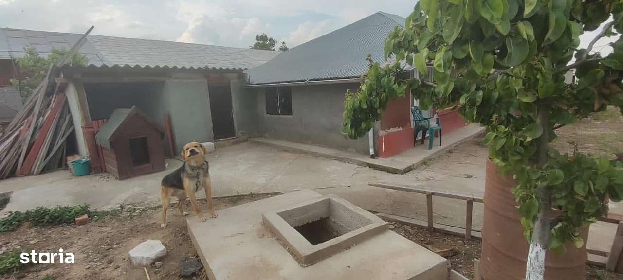 Casa 5 camere cu livada 2200 mp- Varasti-9