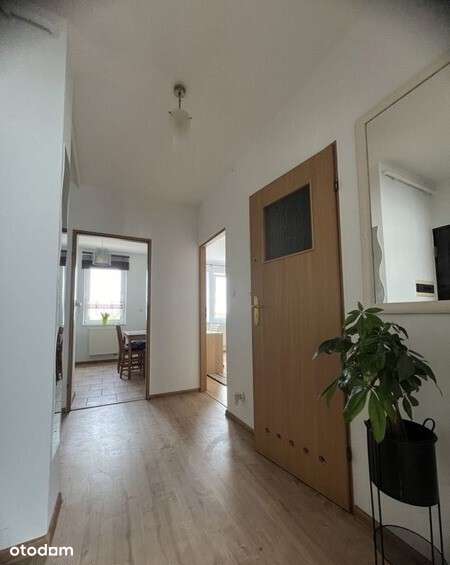 Przestronne mieszkanie! - Pełny obrazek: 5/7