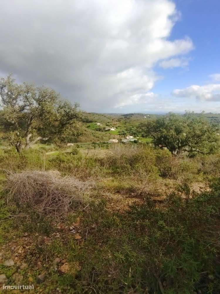 Terreno Rústico, 7500m2.  Santa Catarina da Fonte do Bispo, Tavira - Grande imagem: 2/6