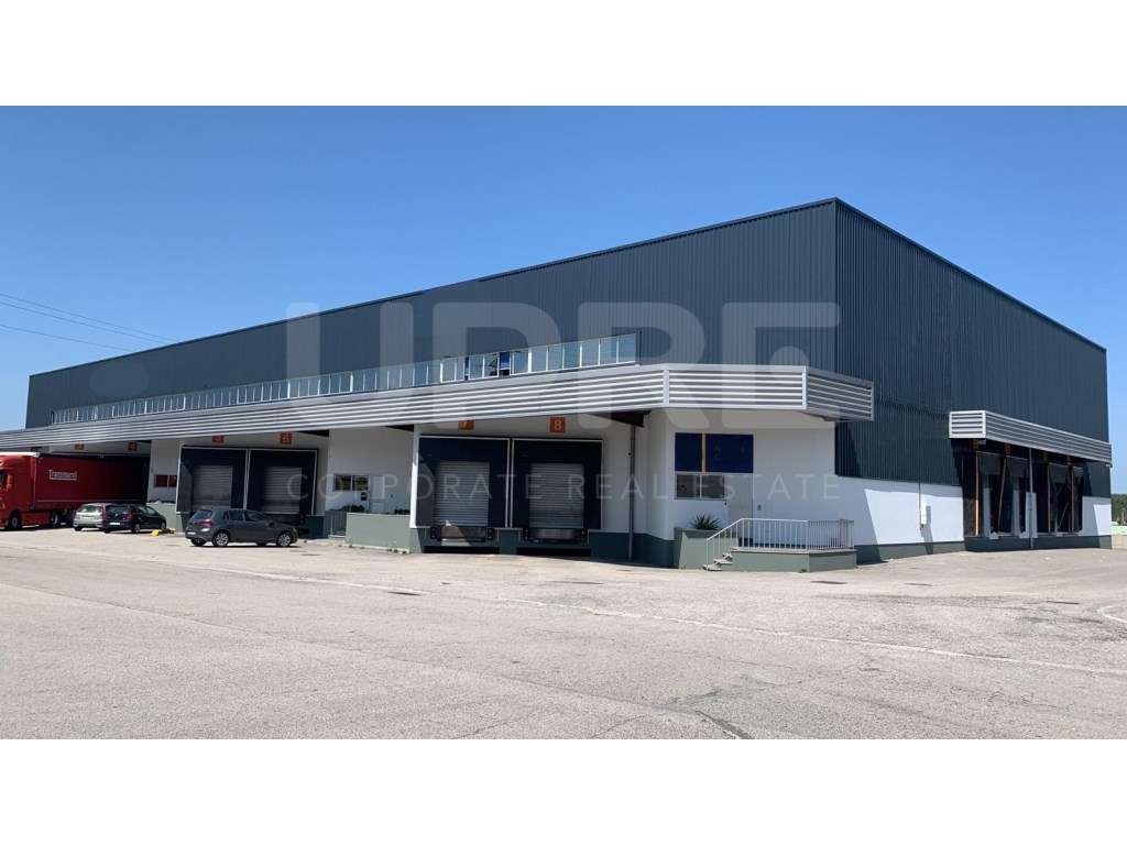 ARRENDA | Armazém Logístico | Oiã - Grande imagem: 5/22