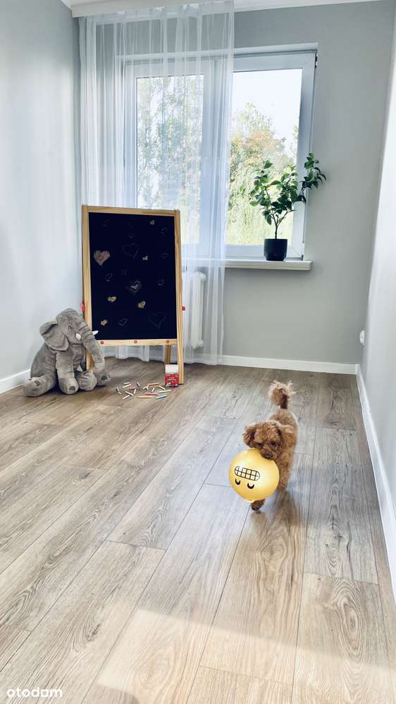 3-pokojowe mieszkanie z balkonem, Lublin - Pełny obrazek: 4/19