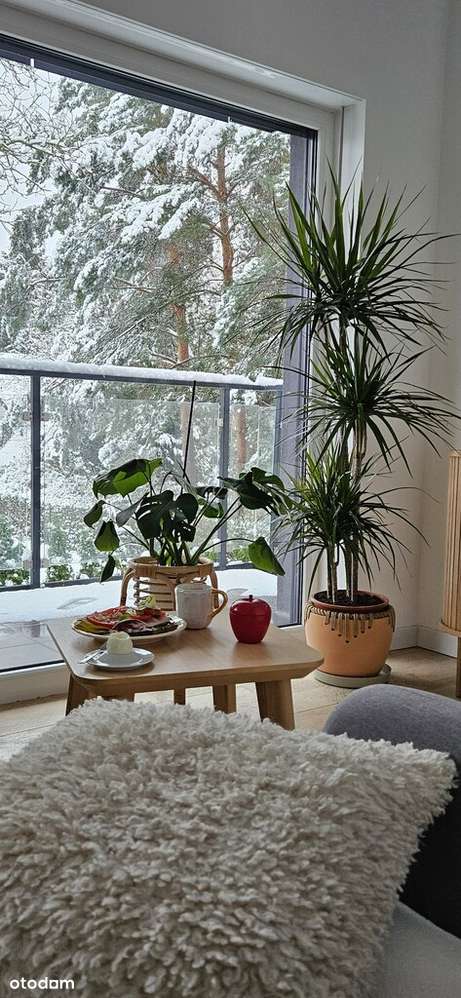 nowe 3 pokojowe na Naramowicach z dużym balkonem - Pełny obrazek: 3/19