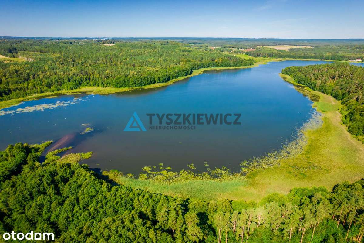 Działka z linią brzegową rzeki Słupia - Pełny obrazek: 5/14