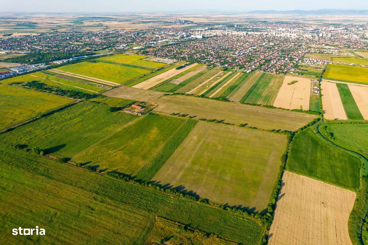 Teren de 10.000 mp situat în Bujac, Arad - Imagine principală: 5/6