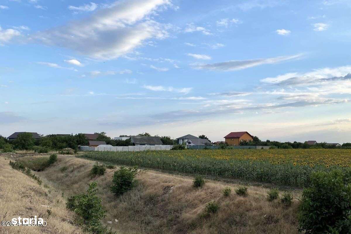 Tamasi, langa padure, 12.824 mp, deschidere 45 ml, teren cu potential - Imagine principală: 1/12