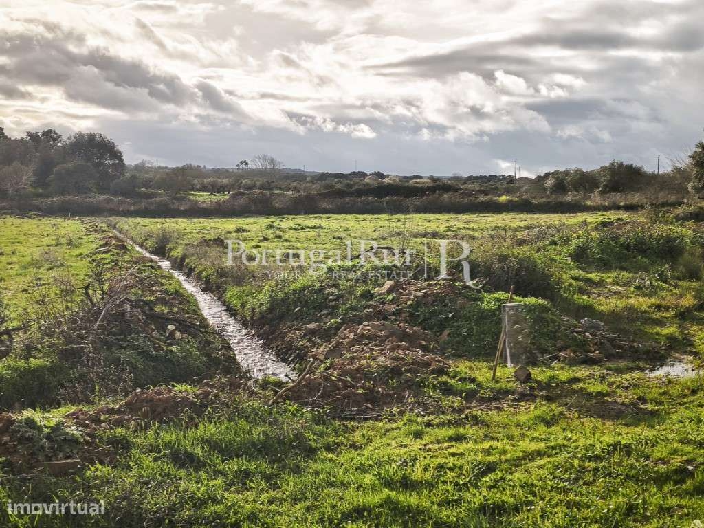 Terreno com 4,5 Ha em Elvas - Grande imagem: 5/18