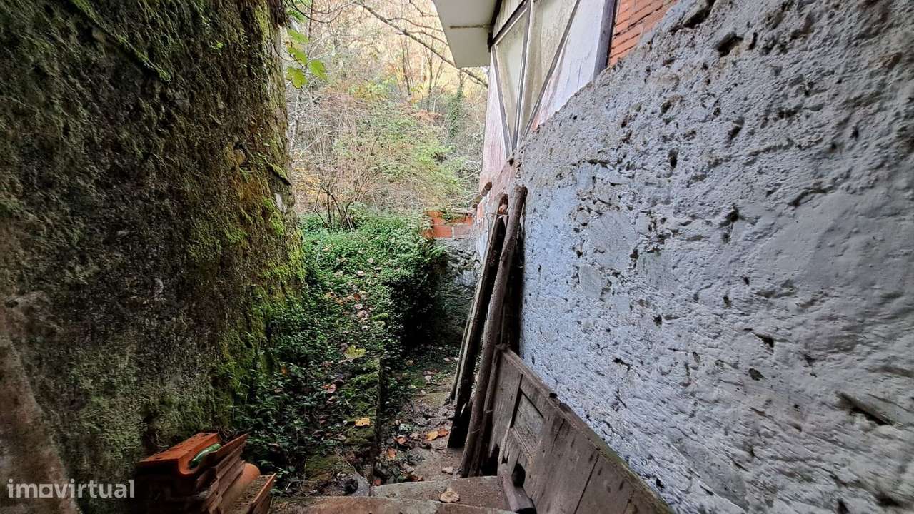 Quinta com casa para recuperar junto a ribeiro-22