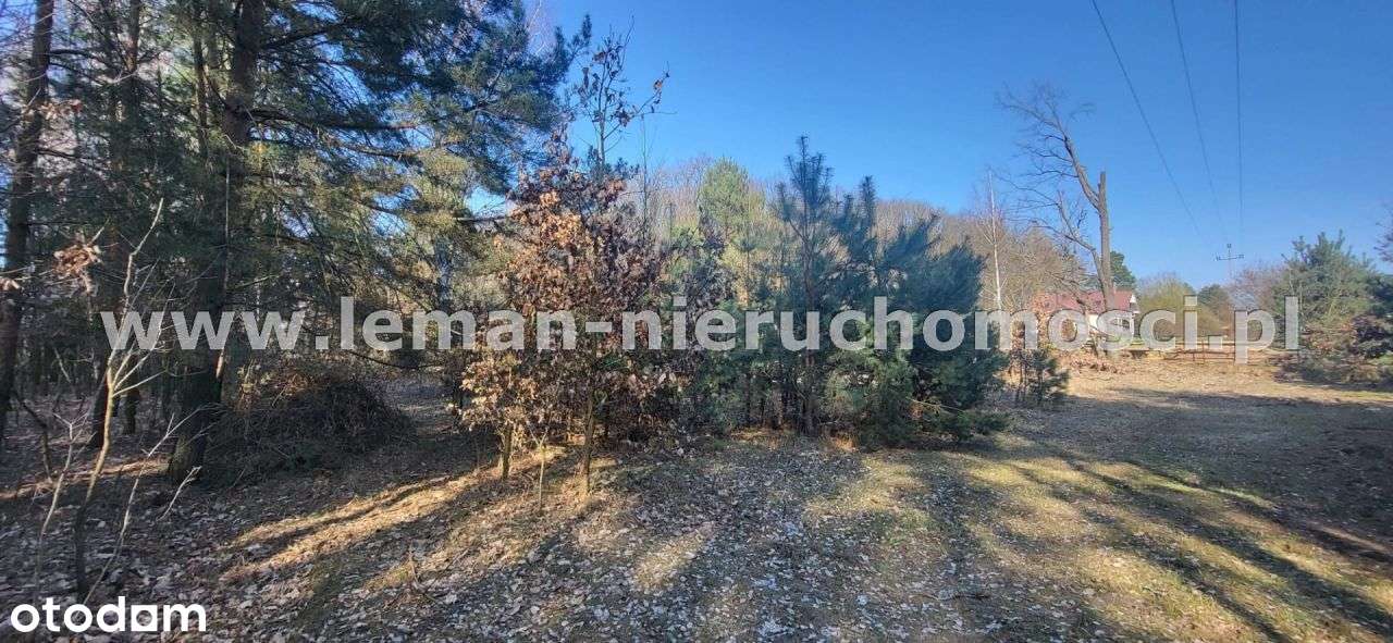 Działka, 5 539 m², Ryki-2