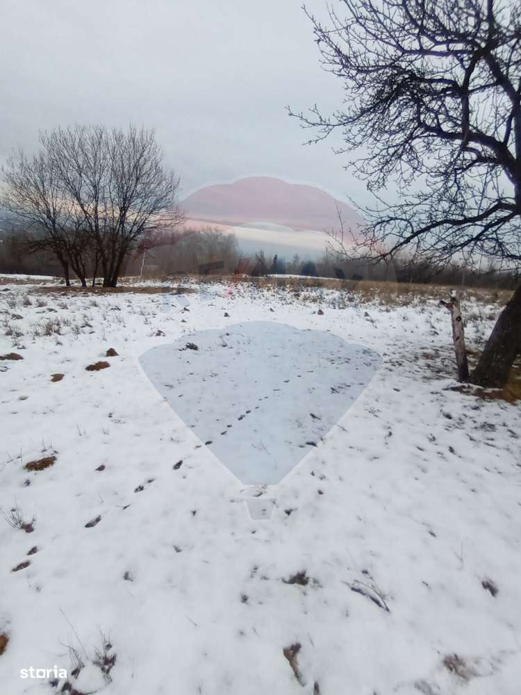 Teren 11,542mp Cacica / Drumul Forestier - Imagine principală: 5/20