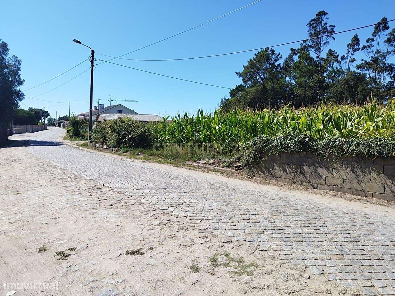 Terreno Para construção em Gemeses com 4300m2 - Grande imagem: 5/13