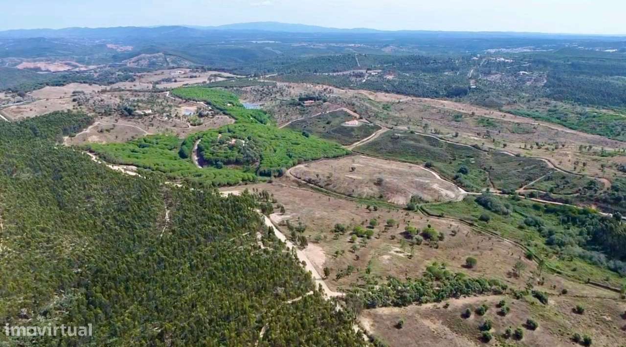 Terreno em São Teotónio com 77.000 m2 e possibilidade de projecto turí - Grande imagem: 4/19