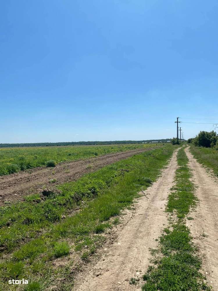 Vanzare teren extravilan la DN71, iesirea din Bungetu Dambovita-4