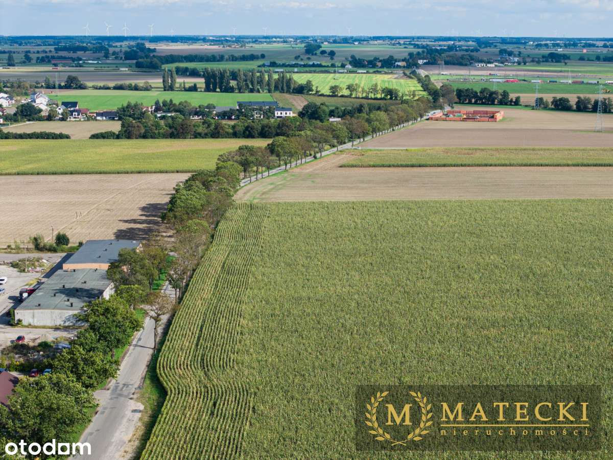 Działka AG  - 7 km od Poznania-9