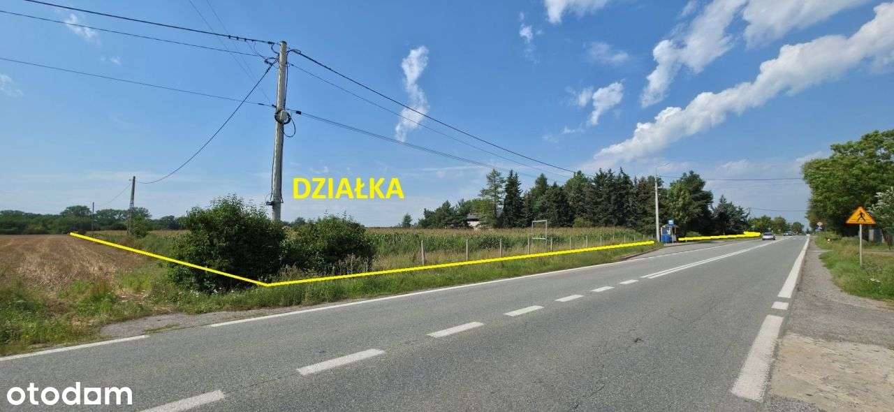 Działka, 32 000 m², Sójki-2