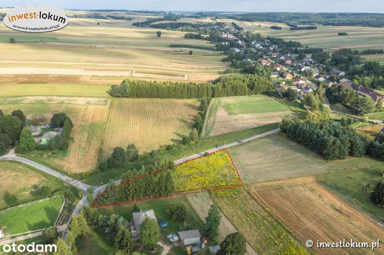 Działka, 3 545 m², Sucha - Pełny obrazek: 5/7