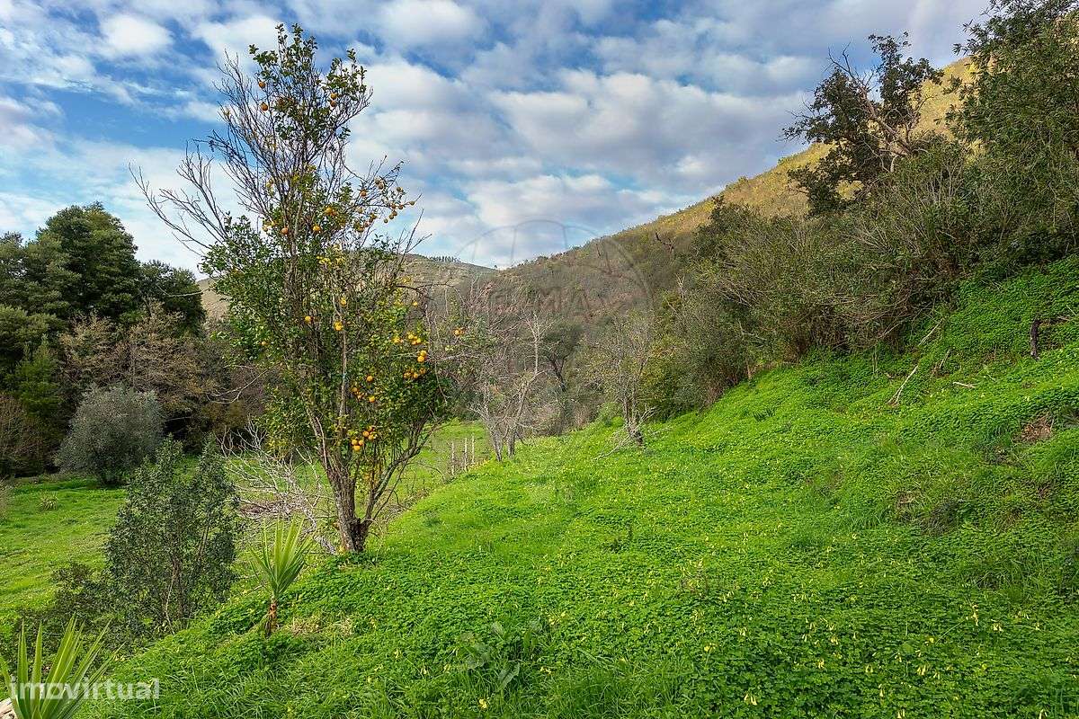 Moradia T4 para venda-36