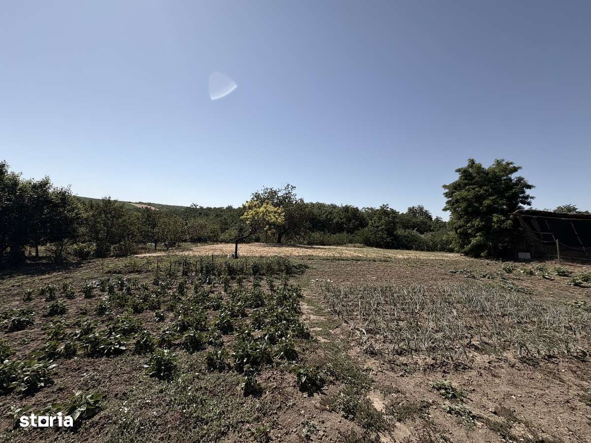 Casa Locuibila cu 2751 mp. Teren în Cadea. Sacueni - Imagine principală: 4/14