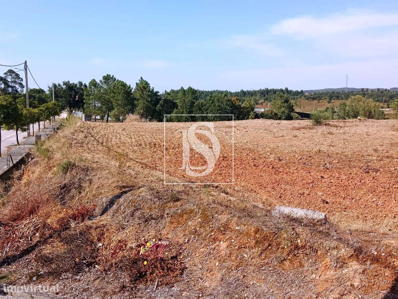 Terreno  Venda em São Pedro de Tomar,Tomar-9