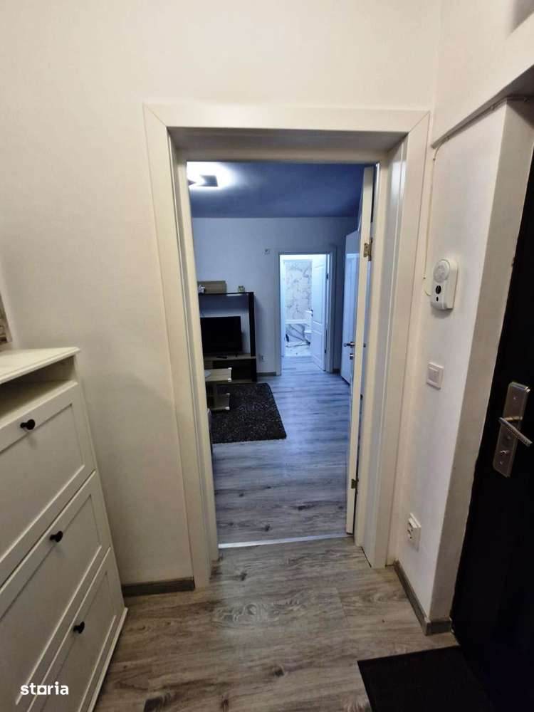 Baba Novac -Gheorghe Petrascu-12