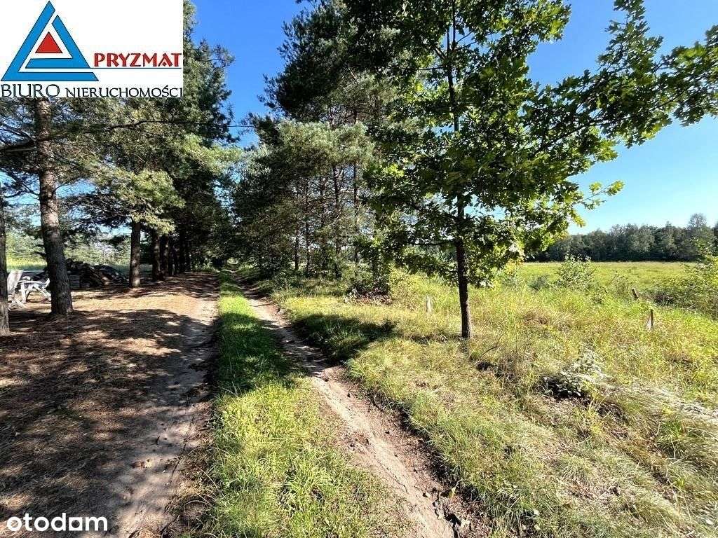 Kolonia Maruny - Działki Do Sprzedaży!-6