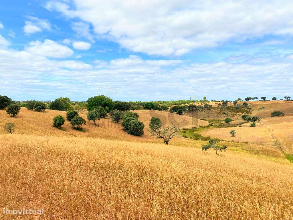 Quinta para recuperar em Serpa - Grande imagem: 4/60