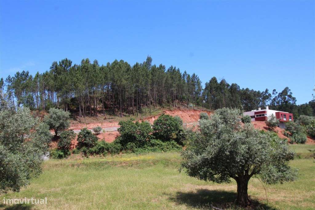 Terreno Construção Pingo Doce Eiras - Grande imagem: 2/11