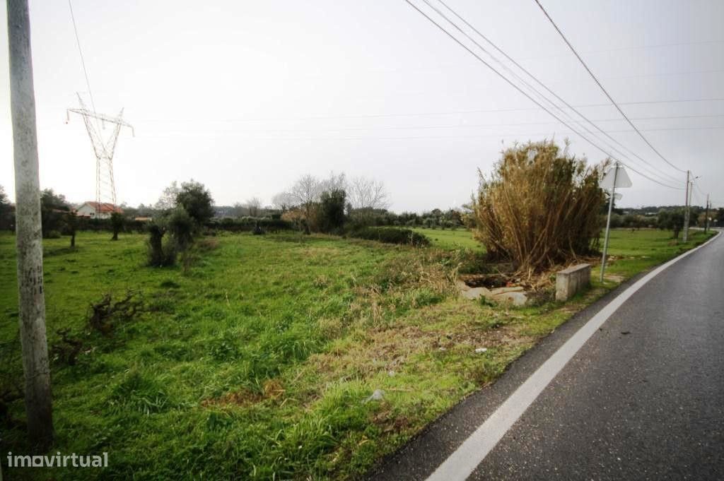 Terreno para cultivo, Condeixa-a-Nova, Condeixa