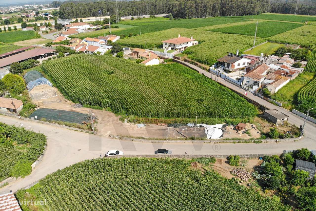 Terreno com Elevado Potencial para Investimento – Avanca, Estarreja-11