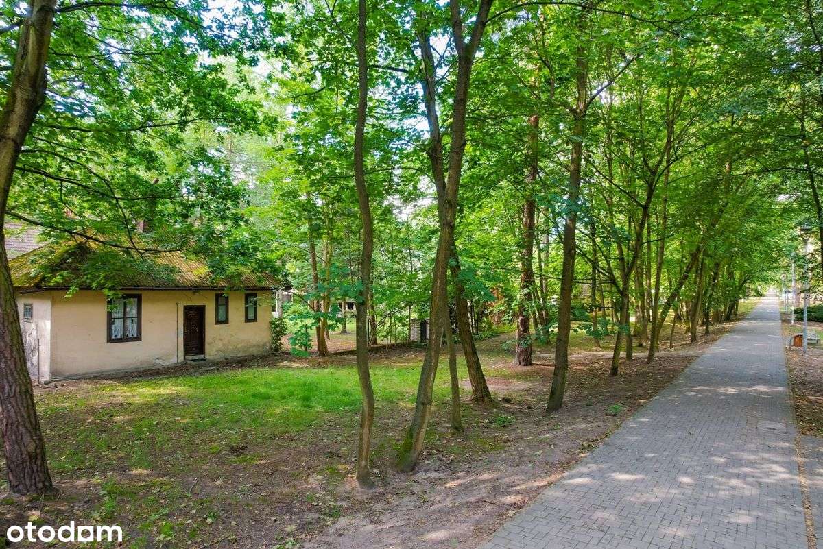 Historyczna "Willa Rusałka" przy Parku Zdrojowym-15