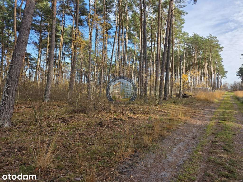 Działka w lesie, pod dom 900 m od plaży-12