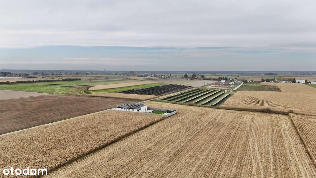 6 działek – świetna lokalizacja - Pełny obrazek: 4/8