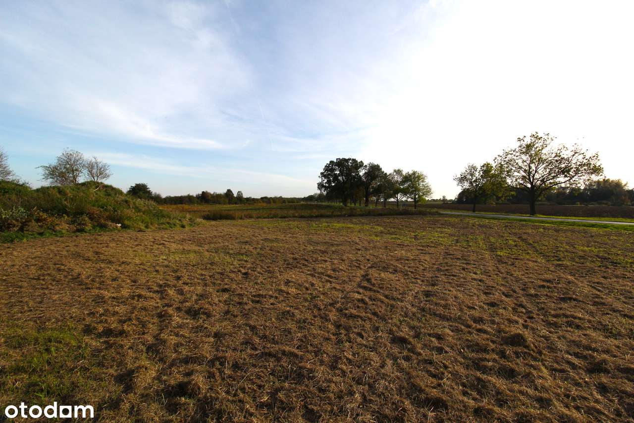 działka usługowa zabudowana z projektem 4600m2-7