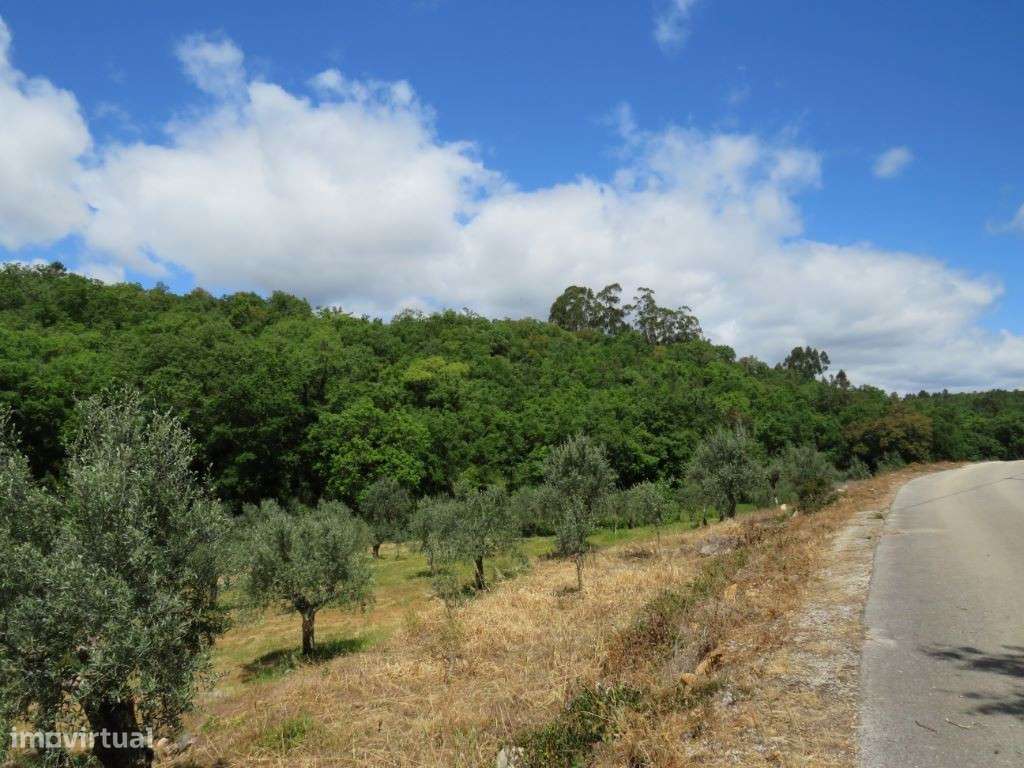 Terreno de construção de moradia rodeado de paisagens verdes - Grande imagem: 5/6