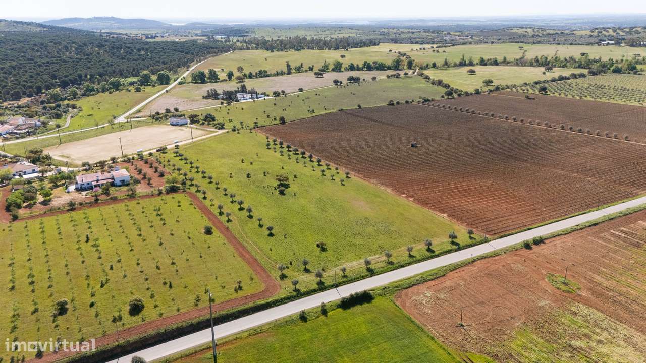 Terreno no concelho de Reguengos de Monsaraz com Projeto de arquitetur - Grande imagem: 5/11