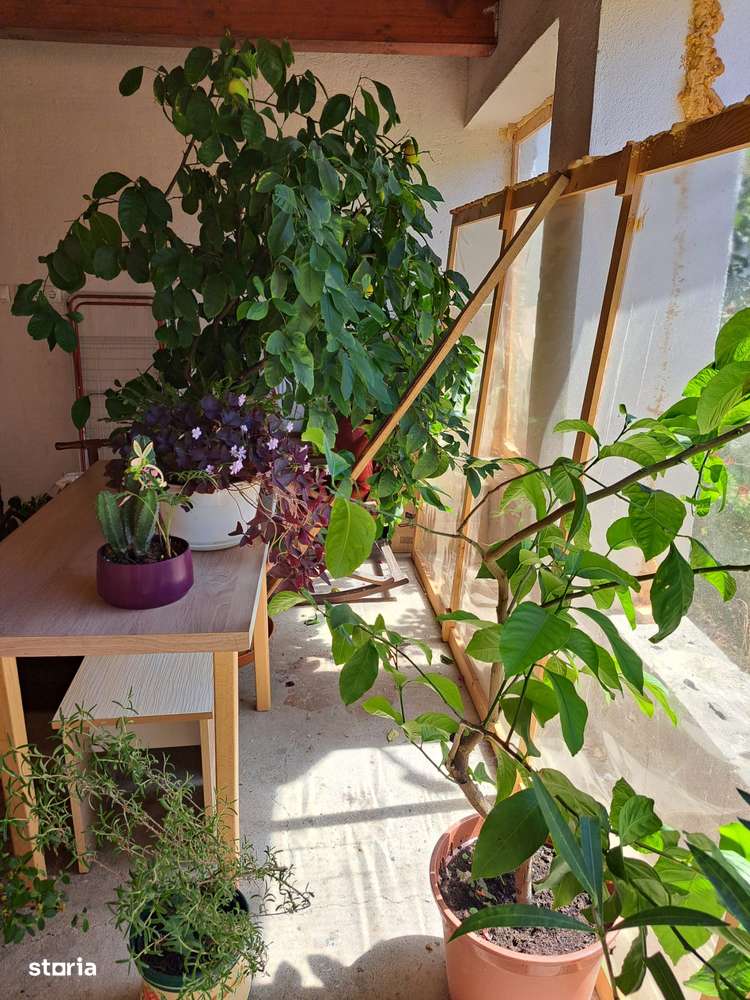 Casă Rogerius zona str. Lacul Roșu-Iasomiei 3 camere, bucătărie, 2 băi - Imagine principală: 5/13