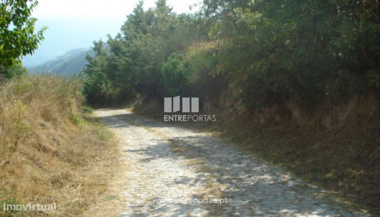 Venda Terreno, Gestaçô, Baião - Grande imagem: 4/22