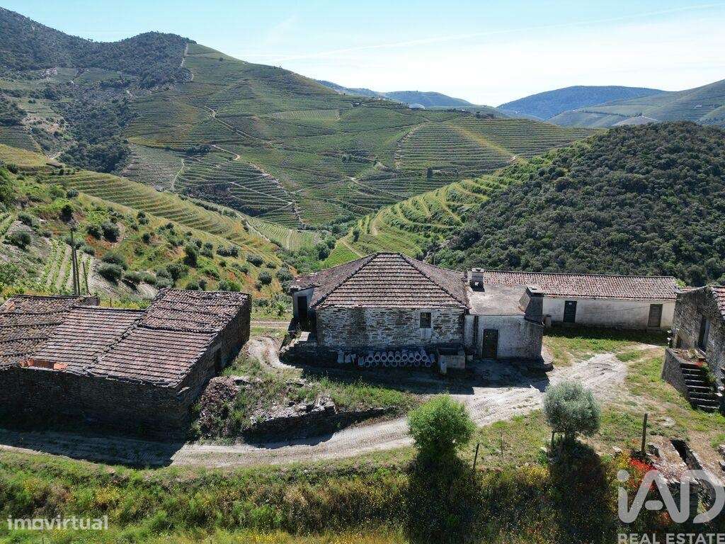 Quinta em Ervedosa do Douro de 72 m2 - Grande imagem: 5/18