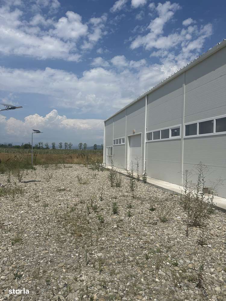 Florești - hala 200mp - 1500 Euro/luna - Imagine principală: 3/7