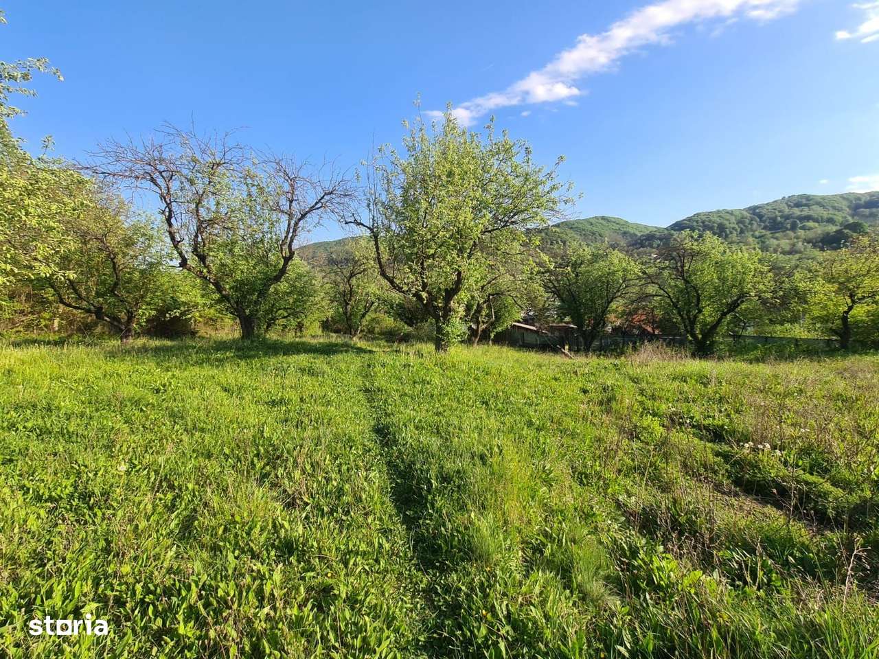 Teren intravilan de vanzare-1