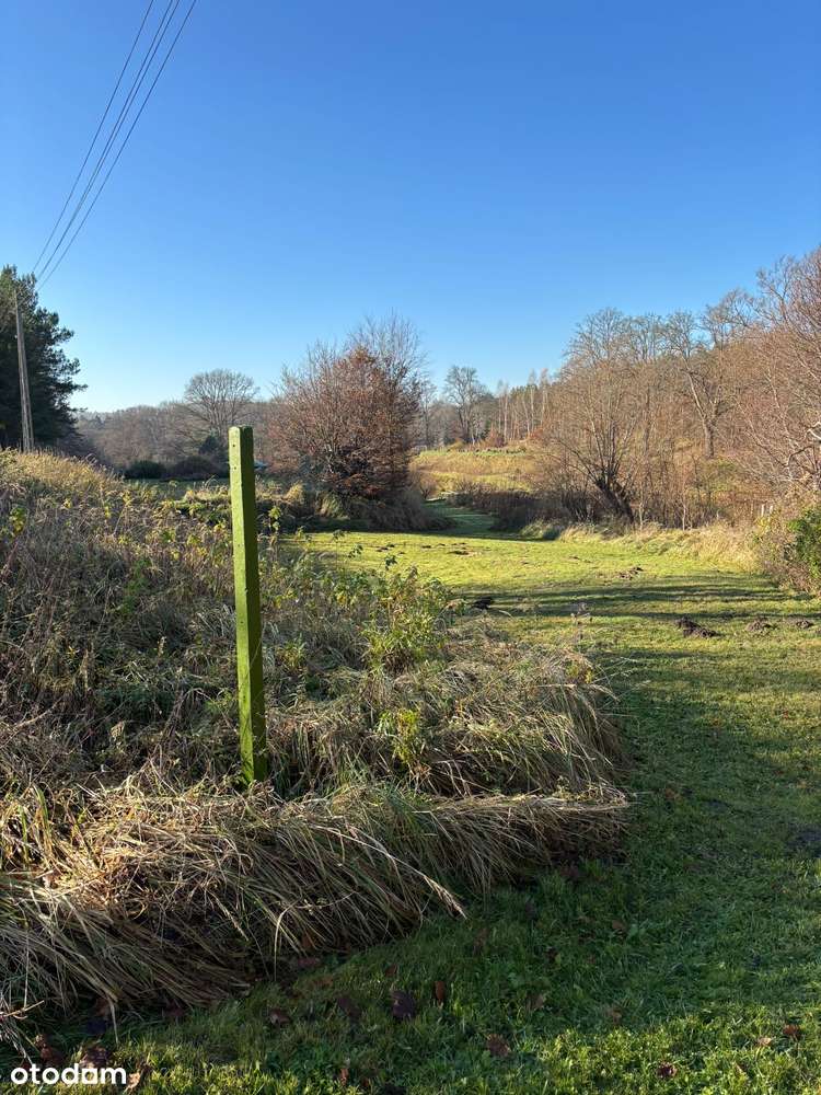 Działka siedliskowa z wydanymi warunkami zabudowy + stawy rybne-13