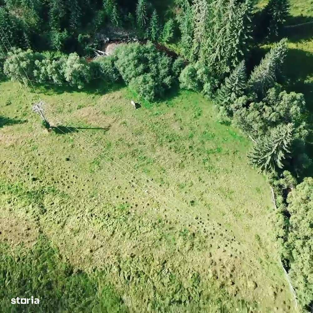 Vand casa cu 5 ha teren in comuna Arieseni - Imagine principală: 4/5