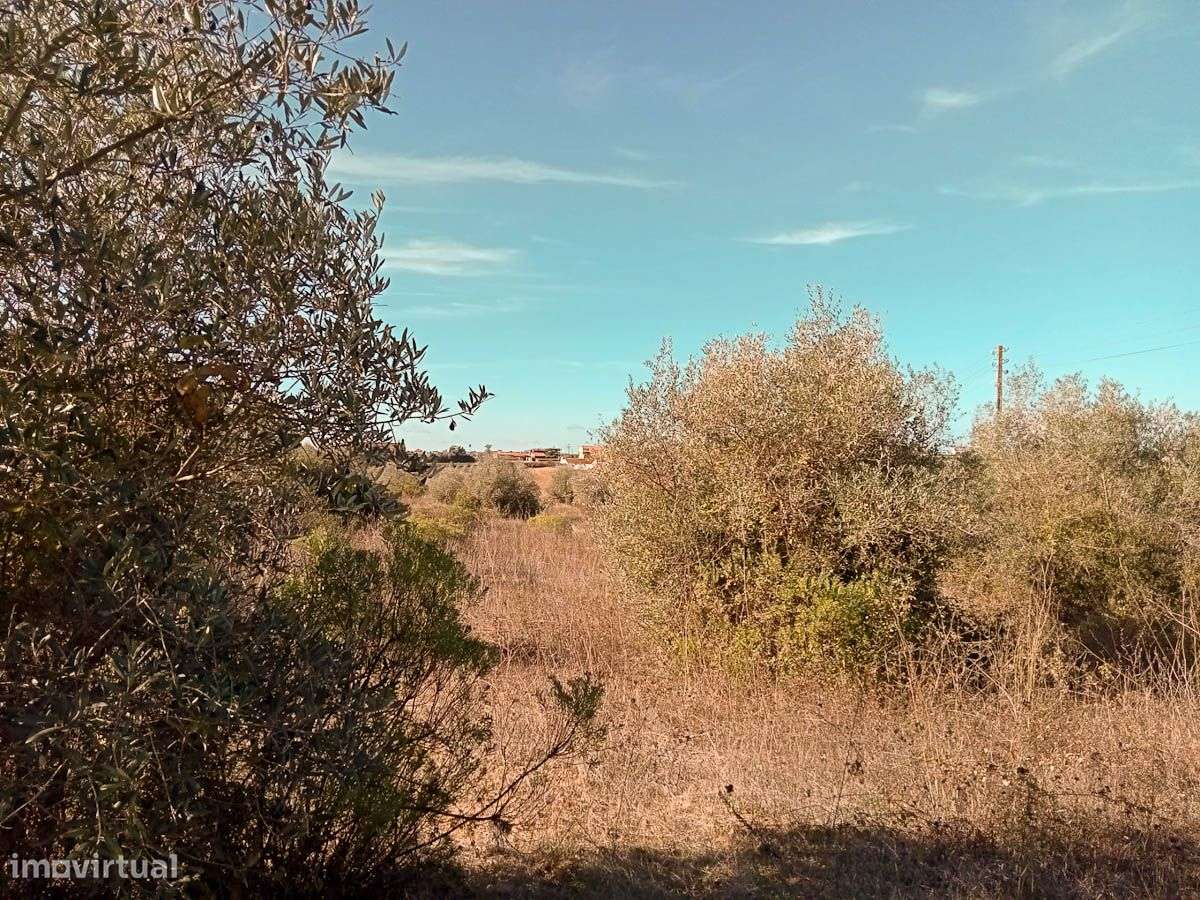 Terreno, Santarém - Grande imagem: 4/8